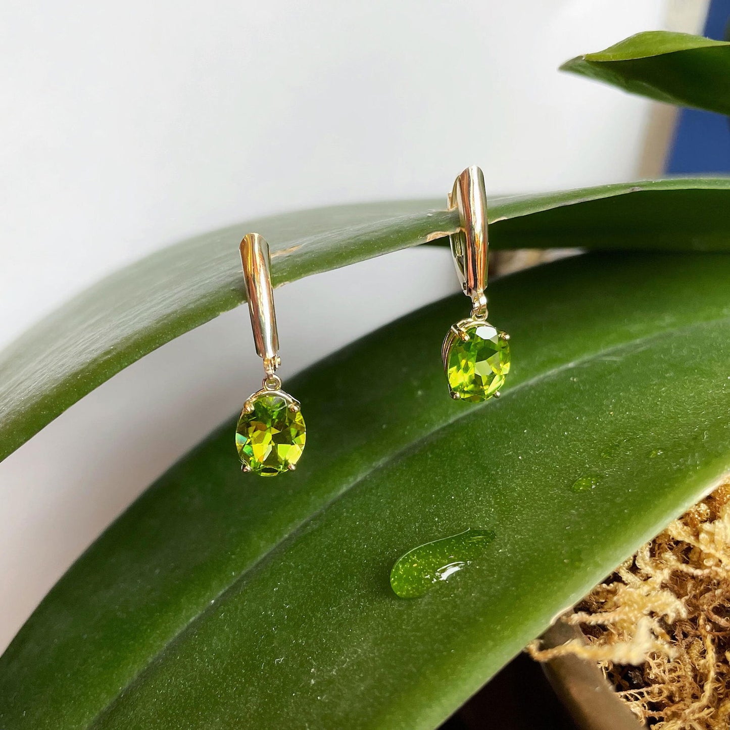 Photo of Peridot Dangle Earrings in a decorative scene, designed by , available at Plumb Gold & Plumb Silver