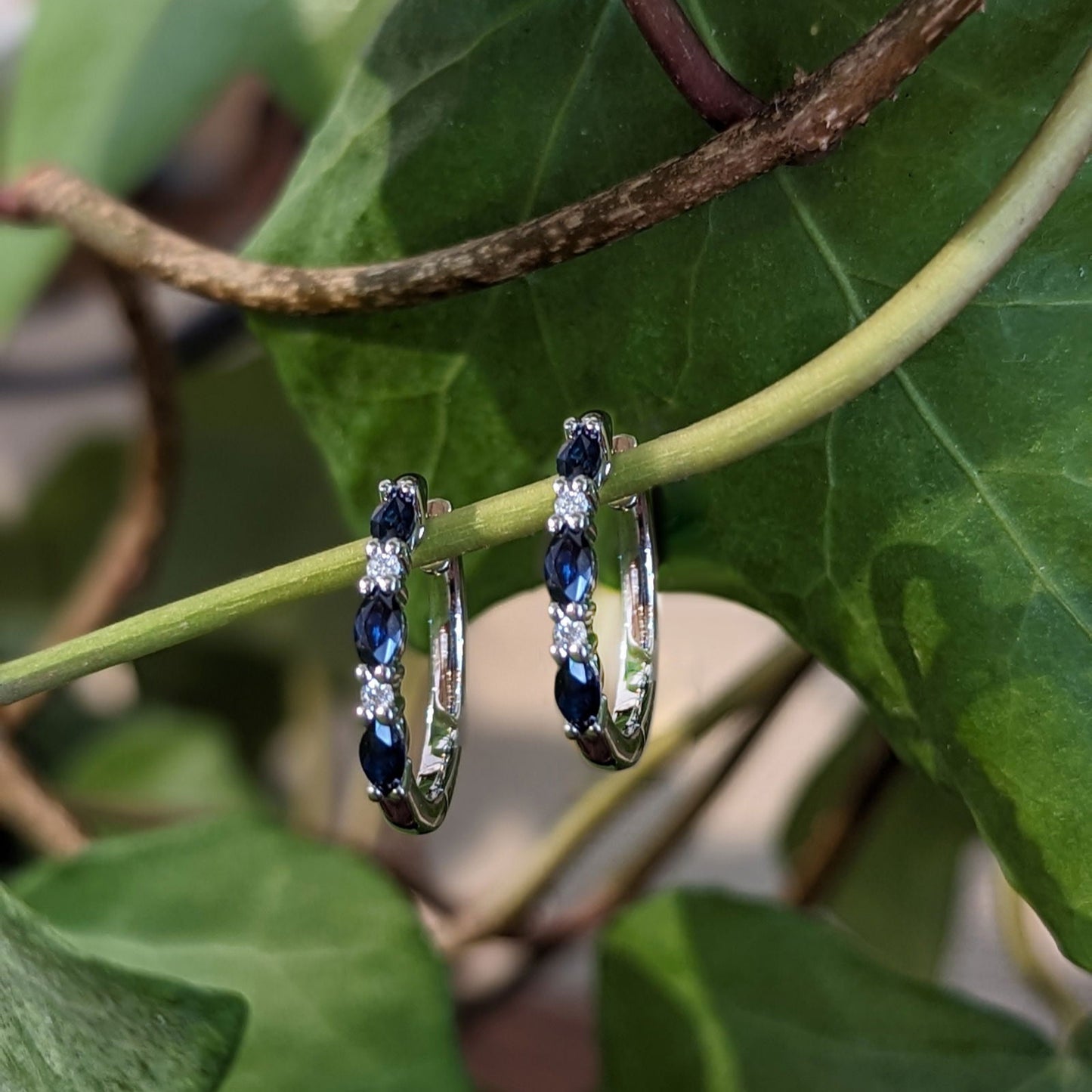 Photo of Sapphire and Diamond Hinged Hoop Earrings in a decorative scene, designed by , available at Plumb Gold & Plumb Silver