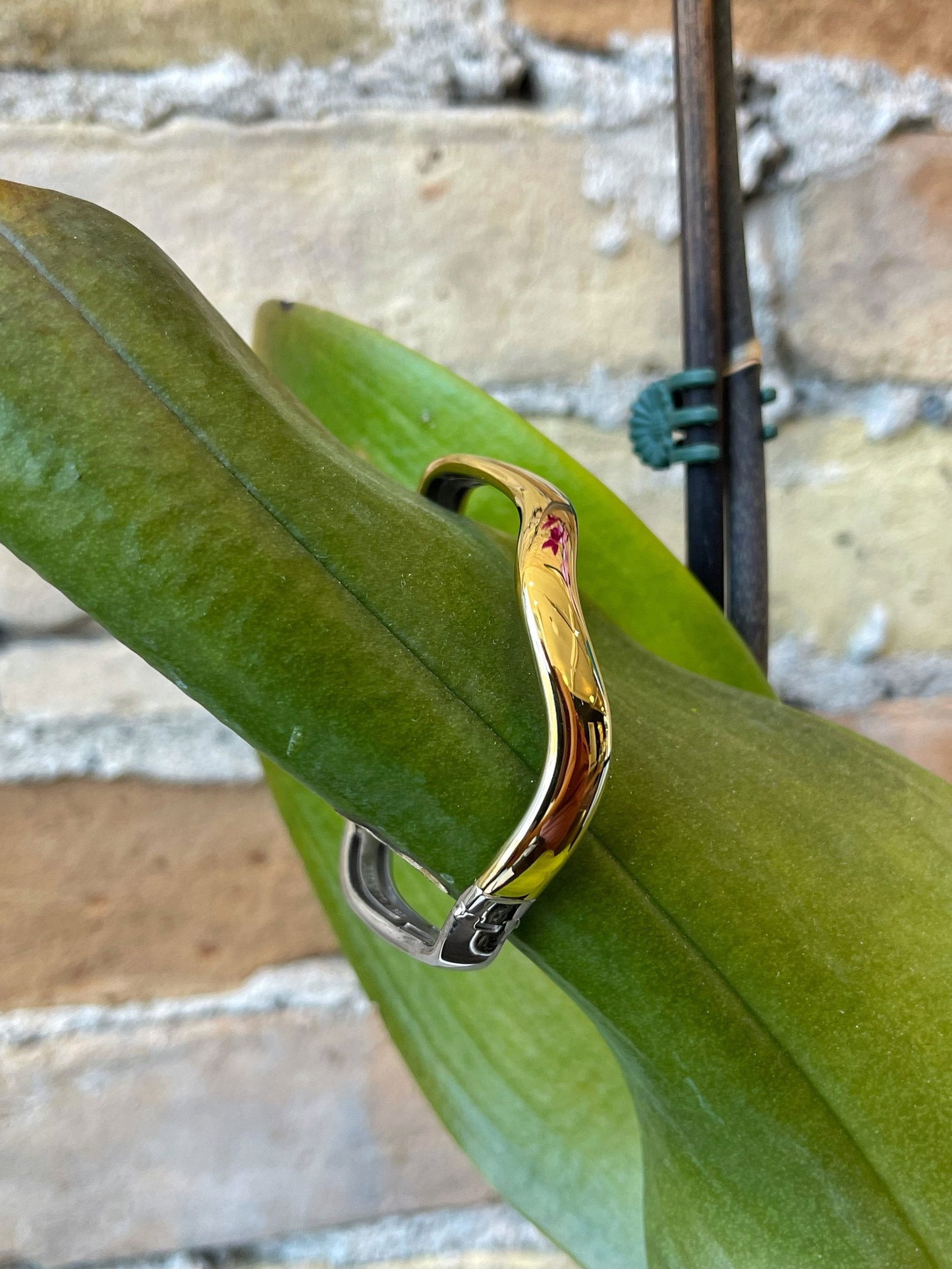 Photo of Squiggle Bangle Bracelet in a decorative scene, designed by , available at Plumb Gold & Plumb Silver