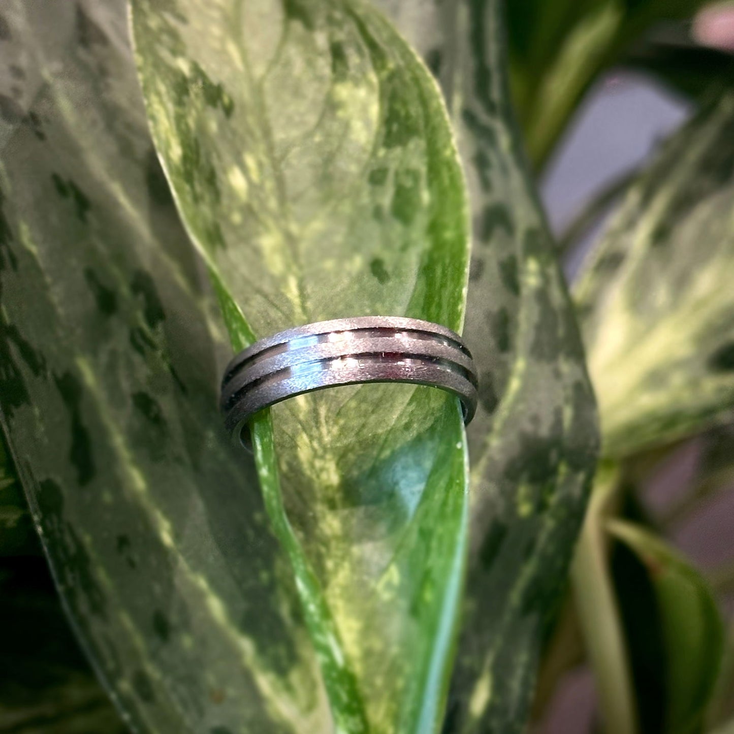 Photo of Titanium Double Grooved Stone Finished Band in a decorative scene, designed by , available at Plumb Gold & Plumb Silver