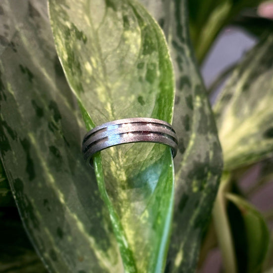 Photo of Titanium Double Grooved Stone Finished Band in a decorative scene, designed by , available at Plumb Gold & Plumb Silver
