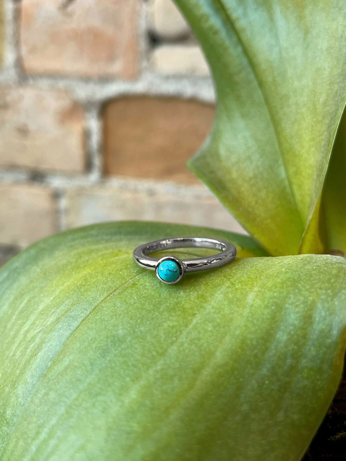 Photo of Turquoise Bezel Ring in a decorative scene, designed by , available at Plumb Gold & Plumb Silver