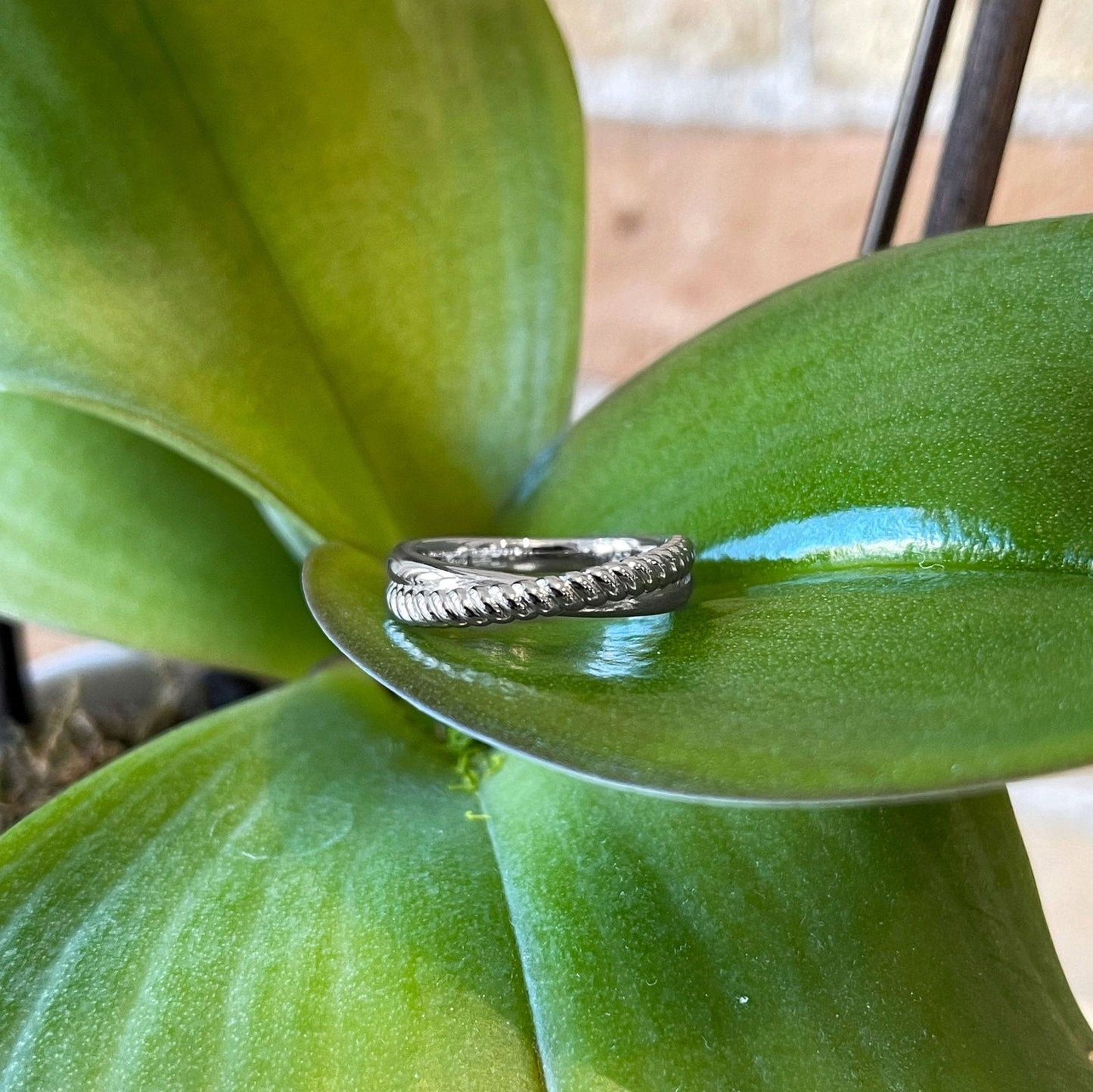 Photo of Twisted Rope Ring in a decorative scene, designed by , available at Plumb Gold & Plumb Silver