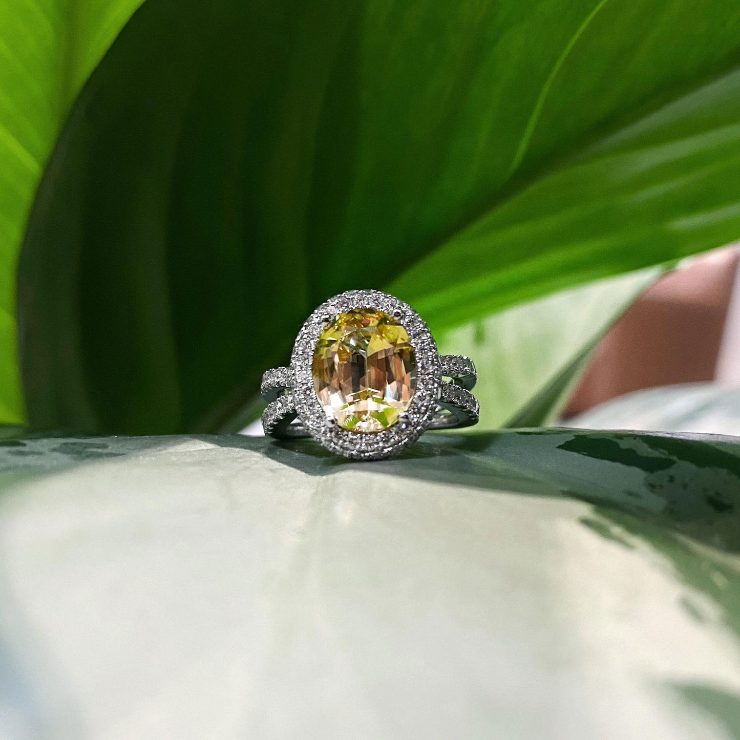 Photo of Yellow Zircon Split Shank Ring in a decorative scene, designed by , available at Plumb Gold & Plumb Silver