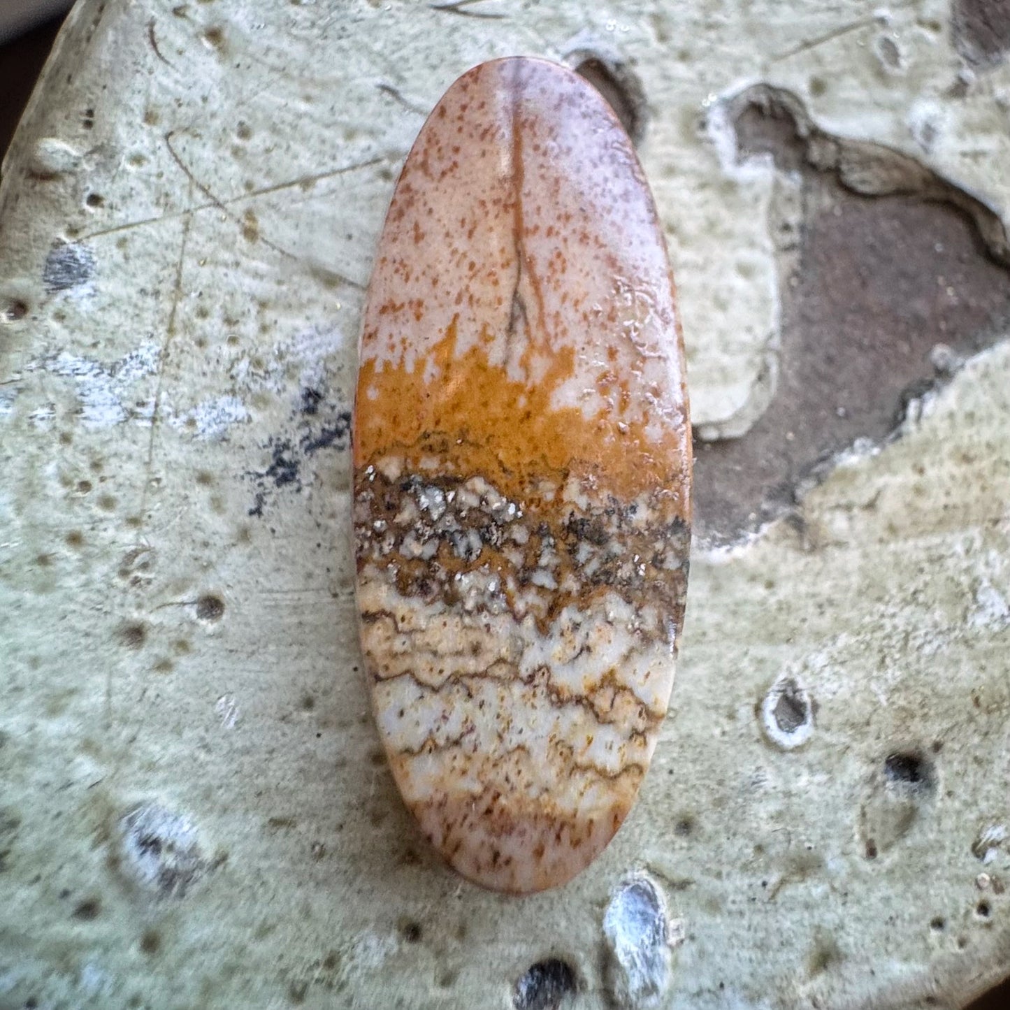 Oval Picture Jasper Cabachon