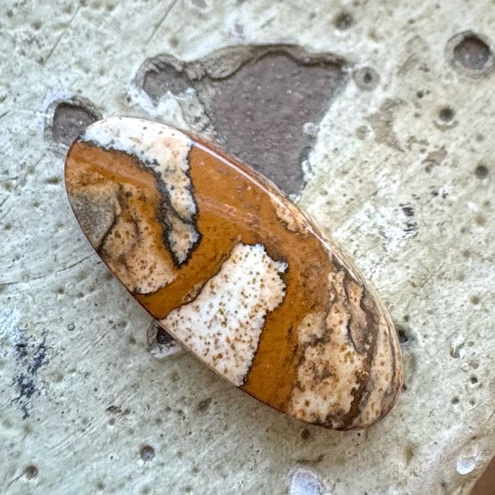 Oval Picture Jasper Cabachon