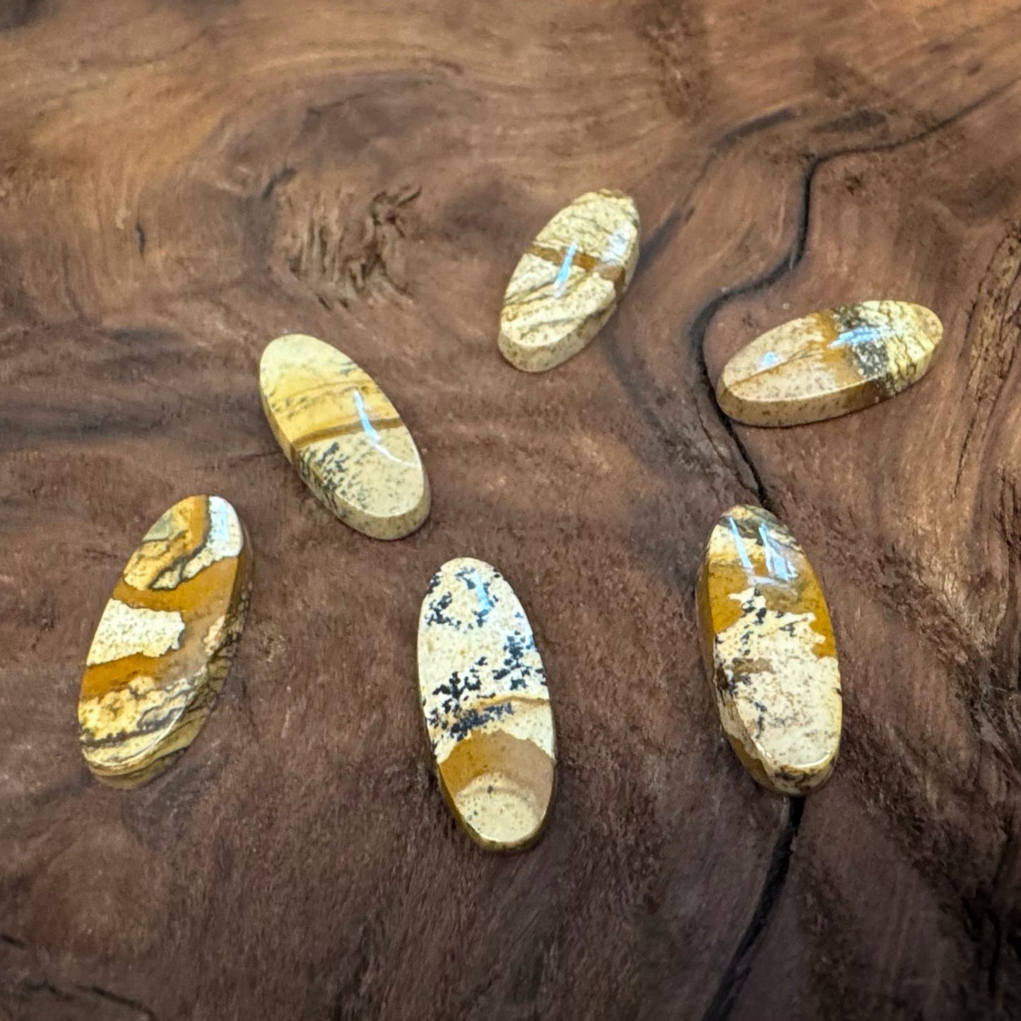 Oval Picture Jasper Cabachon