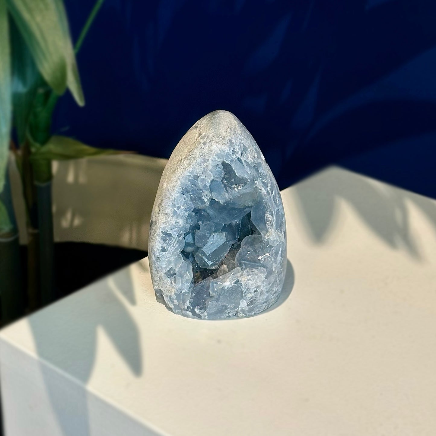 Small Celestite Egg Geode