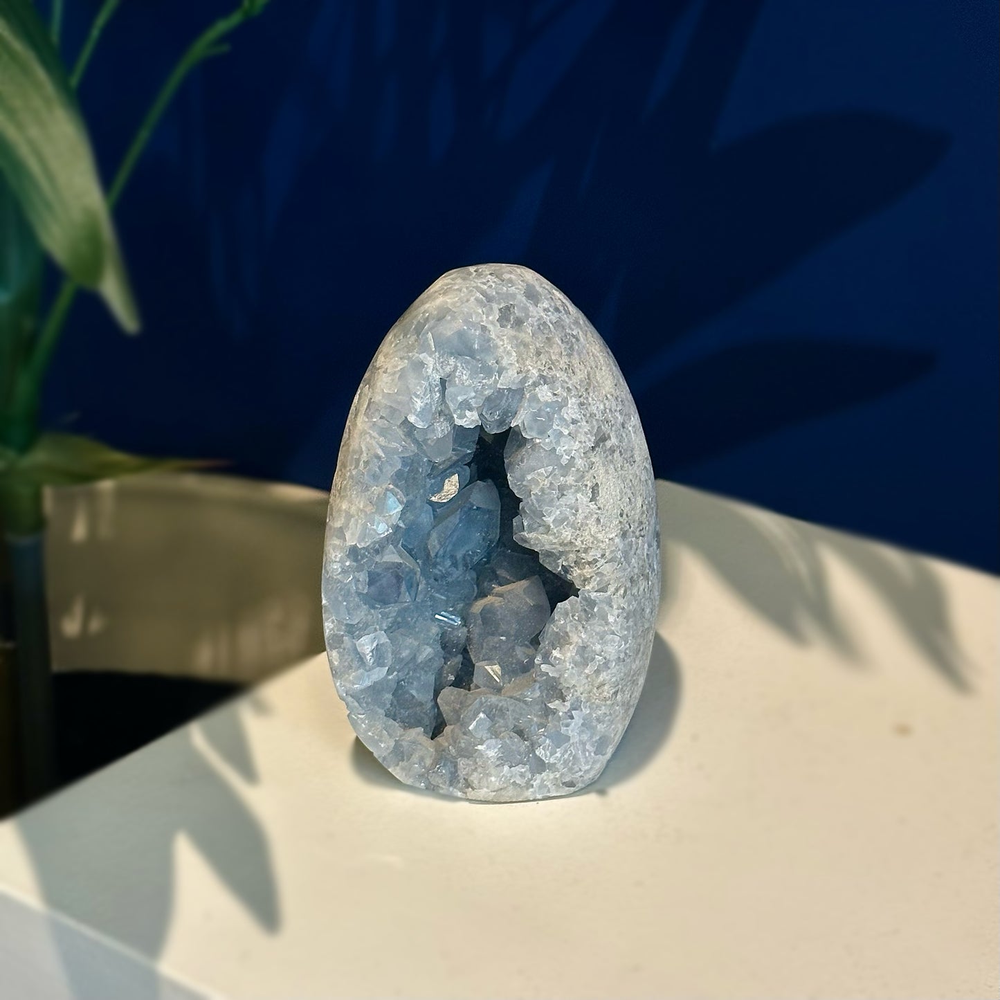 Medium-Large Celestite Egg Geode