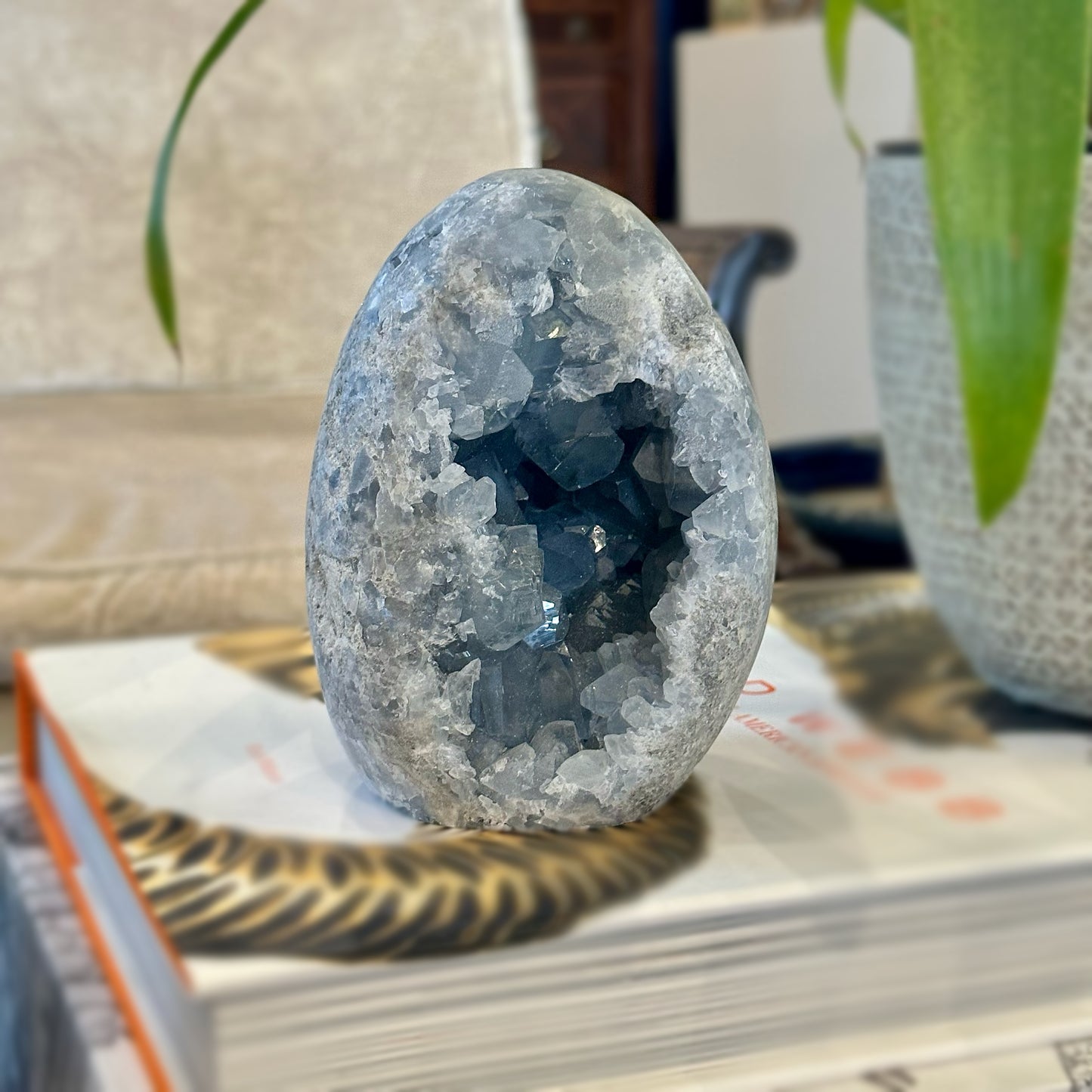 Medium-Large Celestite Egg Geode