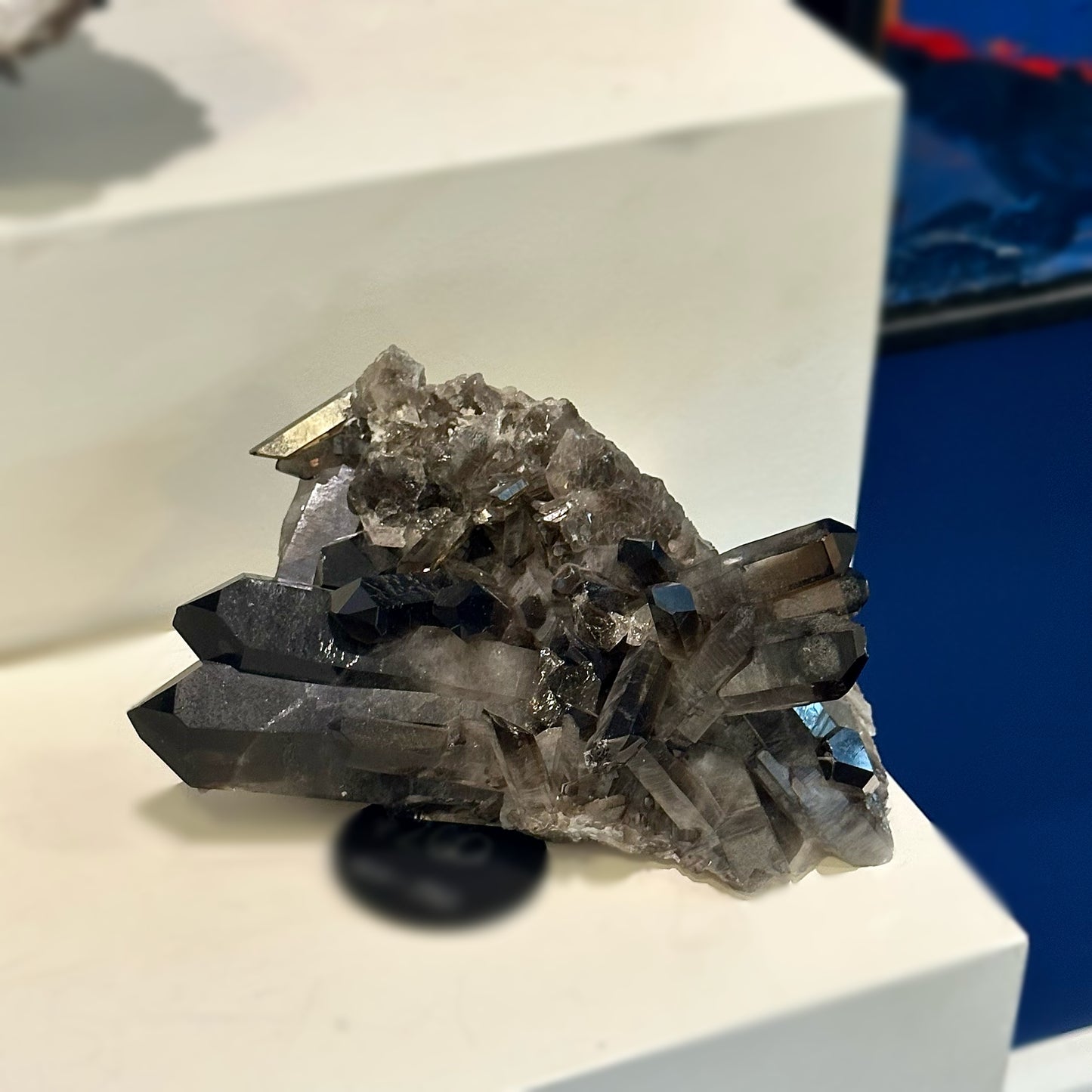 Smoky Quartz Point Cluster