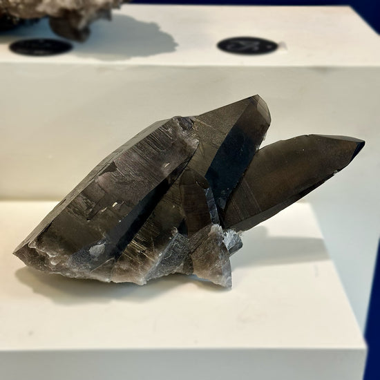 Smoky Quartz Point Cluster