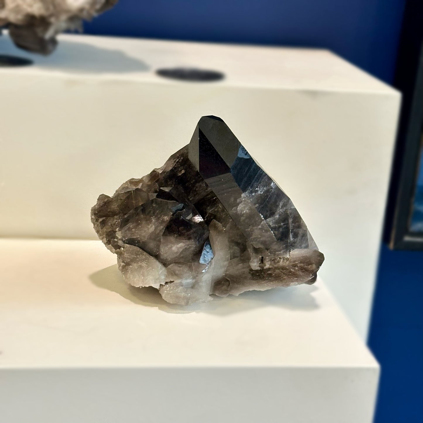 Smoky Quartz Point Cluster