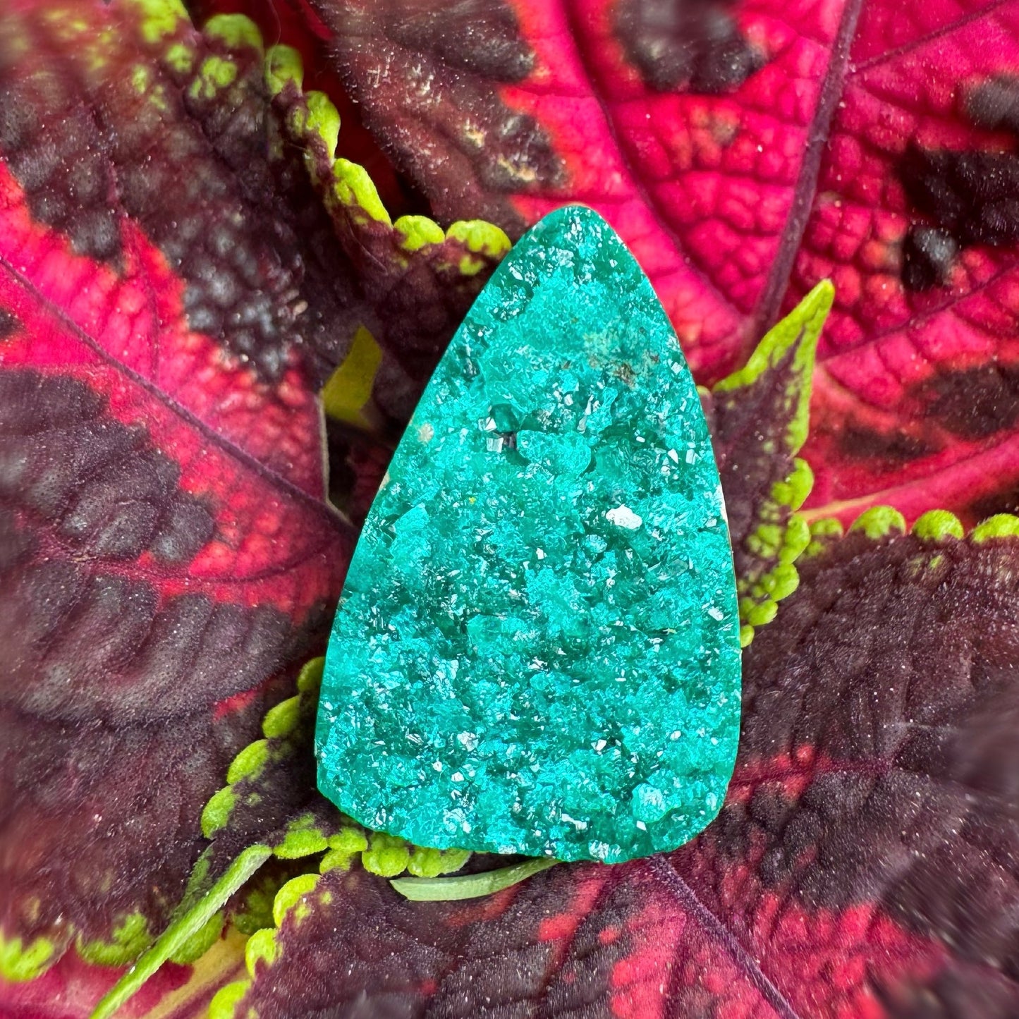 Dioptase Drusy