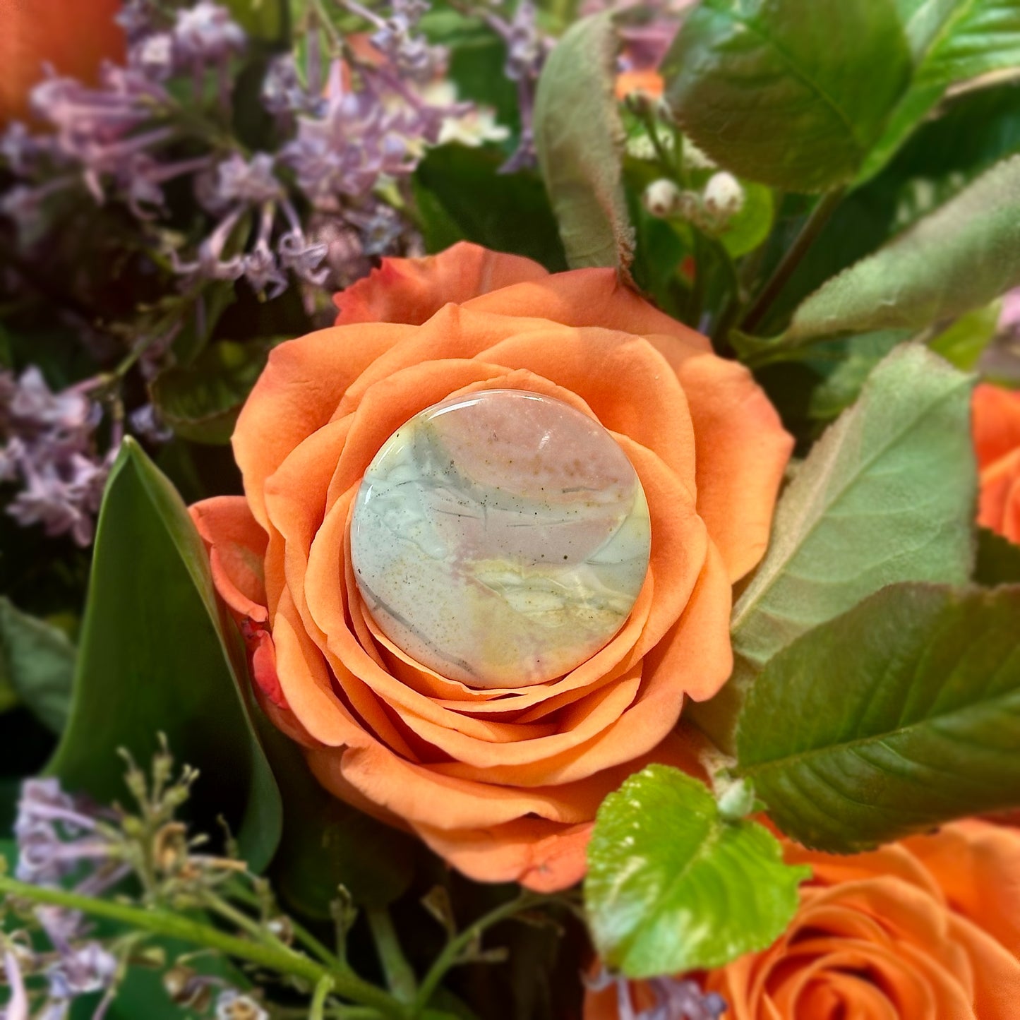 Ocean Jasper Round