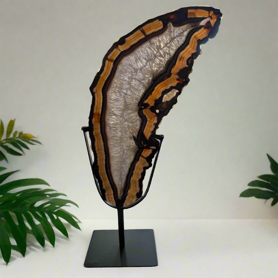 Leaning Agate Slice