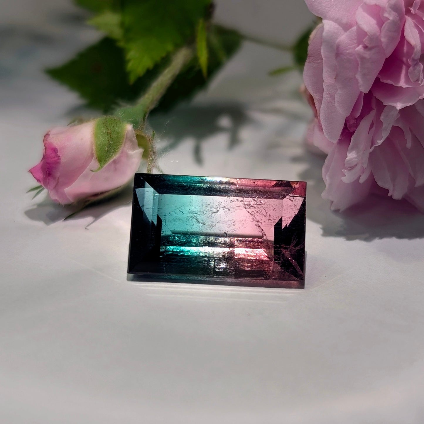 Emerald Cut Watermelon Tourmaline 13.99ct.
