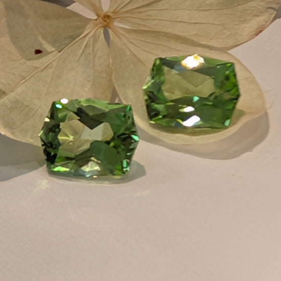 Peridot Fancy Pair 2=4.61ct