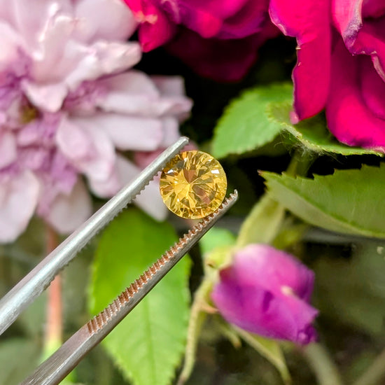 Yellow Sapphire, 1.49cts