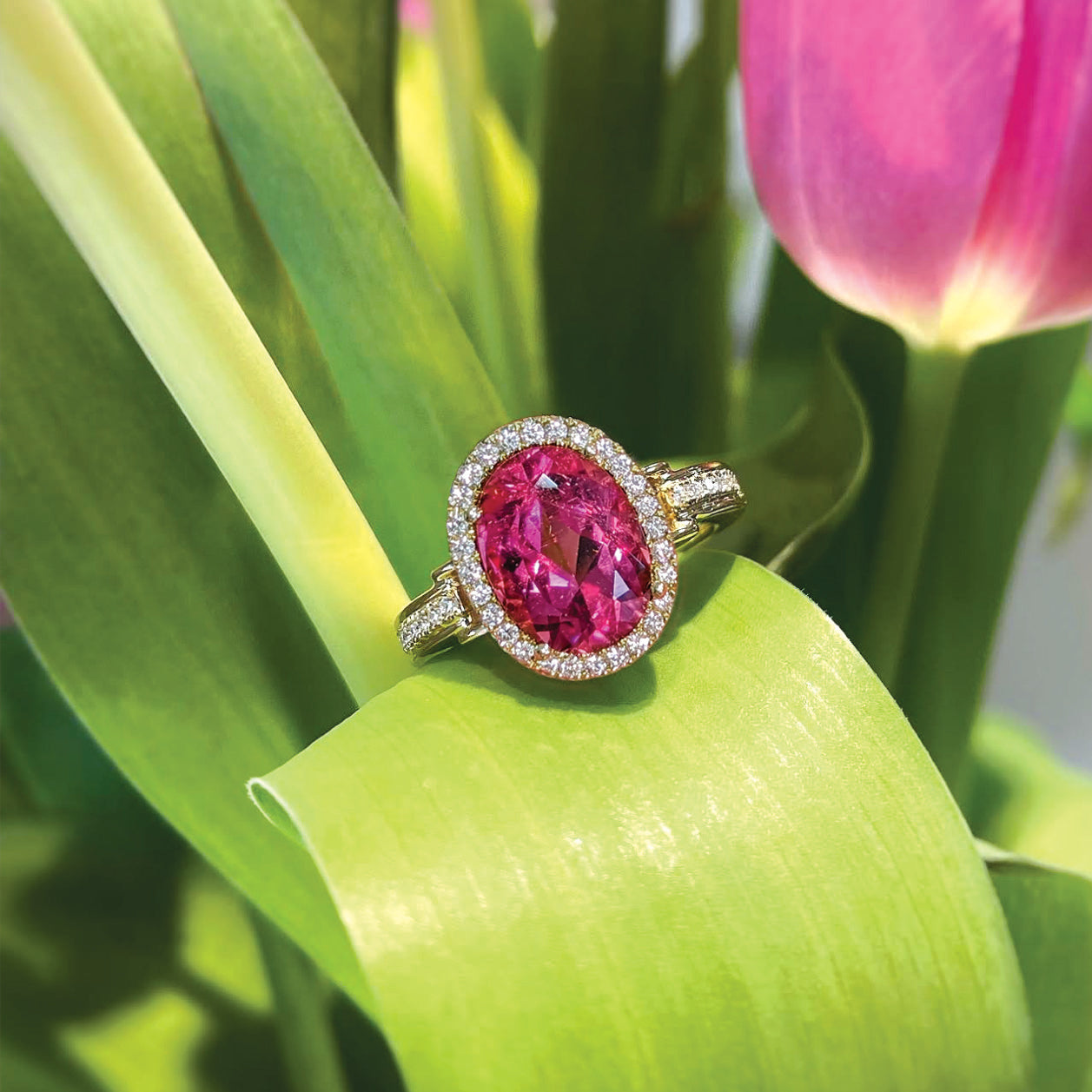 Pink tourmaline and diamond halo ring sitting on  a tulip leaf