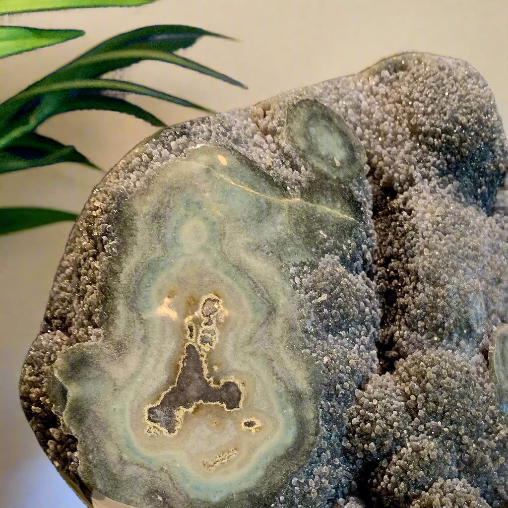 Flowering Olive & Grey Druzy Geode