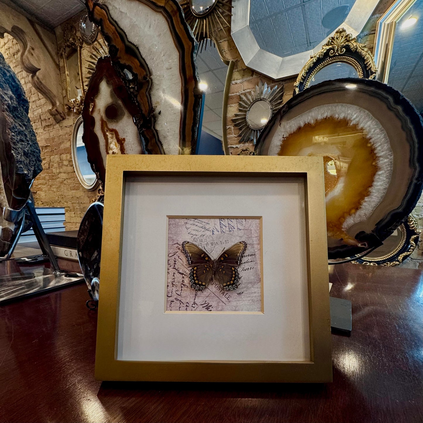 Postage Preserved Butterfly