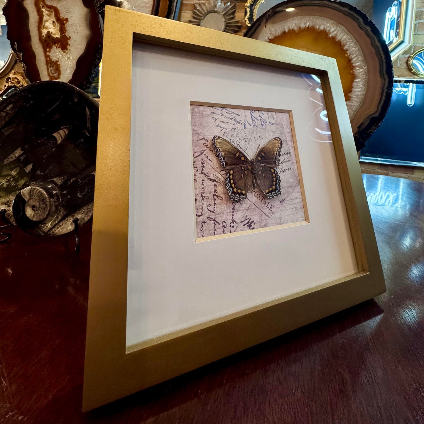 Postage Preserved Butterfly